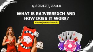 Read more about the article What is RajveerExch and How Does It Work?